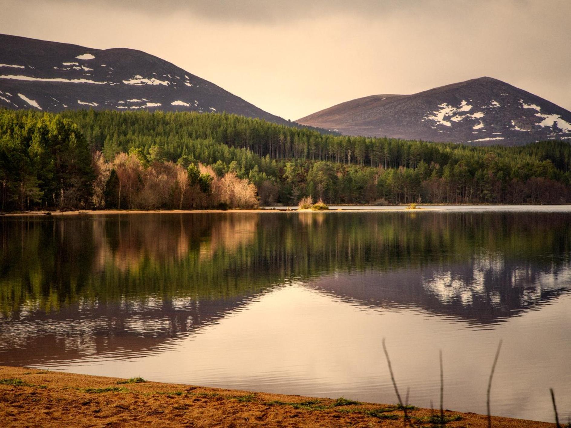 Вілла The Retreat Belladrum Екстер'єр фото